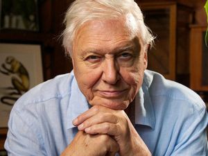 David Attenborough